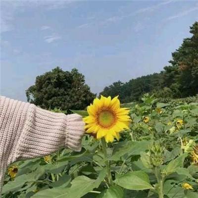 无尽争霸手游官方下载