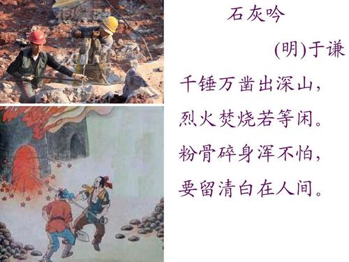 仙萌物语果盘版下载