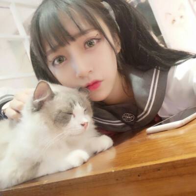 仙灵修真oppo版下载